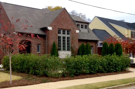 residential landscaping with a hedge fence